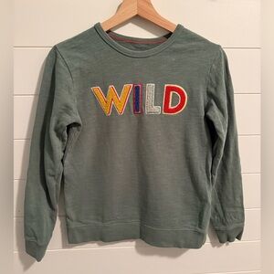 Mini Boden Green 'WILD' Sweater 9/10 100% Cotton